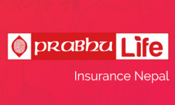 प्रभु लाईफले गर्यो लाभांश घोषणा