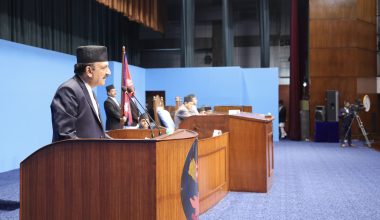 सरकारले औद्योगिकीकरणको गतिलाई तीव्रता दिने