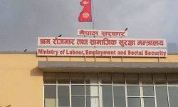 श्रम तथा रोजगार सेवा कार्यविधि, २०८० कार्यान्वयनमा