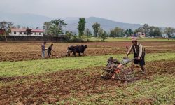 प्रविधि र परम्परा