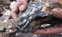 दमेकमा तामाखानीको अध्ययन गरिँदै