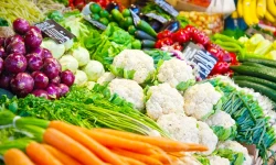 कसरी चिन्ने अर्गानिक उत्पादन ?