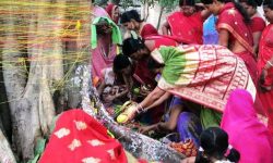 मिथिलाञ्चलमा आज बरसाइत पर्व मनाइँदै