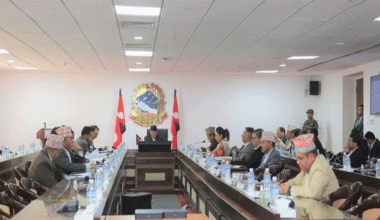 तमोर आयोजनाबारे पावर चाइनालाई पत्राचार गर्ने निर्णय