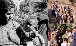 नेपालमा बिफरको प्रकोप र यस विरुद्धको खोप