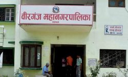 वीरगञ्जले गर्यो ३६ करोड राजस्व सङ्कलन