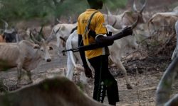 किसान र गोठालाबीचको भिडन्तमा १० जनाको मृत्यु