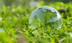 वन र वातावरण क्षेत्रमा १५ अर्ब ५६ करोड बजेट