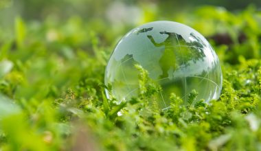 वन र वातावरण क्षेत्रमा १५ अर्ब ५६ करोड बजेट