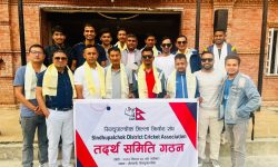 सिन्धुपाल्चोक क्रिकेट सङ्घको तदर्थ समिति