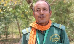 बाँकेका वन हेरालु भन्छन्– ‘वन्यजन्तु बढ्दा डर लाग्दैन खुसी लागेको छ’