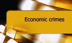 काठमाडौंमा आर्थिक अपराधका घटनामा वृद्धि’