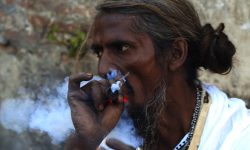 गाँजाको खपत र मूल्य कहाँ कति ? 