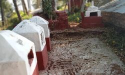 ऐतिहासिक महत्वका अजम्बरी सम्पदा नासिँदै