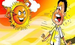 तापक्रम वृद्धिले महोत्तरीको जनजीवन प्रभावित