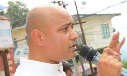 कांग्रेस गण्डकी प्रदेश प्रमुख सचेतकमा न्यौपाने मनोनित