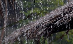 वैशाख मसान्तको वर्षाले राहत