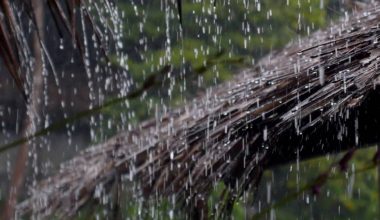 वैशाख मसान्तको वर्षाले राहत