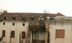 हरिहर भवन घाँसभित्र हराउँदै