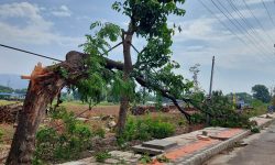 हावाहुरीले छानो भत्किँदा दुई मजदुर घाइते