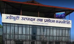 नियुक्ति पत्र दिन माग