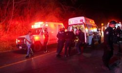 अमेरिकाको न्यु मेक्सिकोमा १८ वर्षे किशोरद्वारा ३ जनाको हत्या