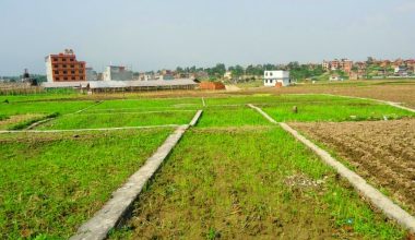 फुकुवा भयो जग्गाको कित्ताकाट