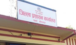 पर्सामा मिटरब्याजी पीडितकाे ९८४ उजुरी दर्ता