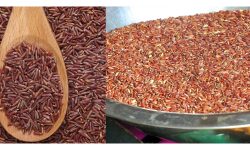 जुम्ली मार्सी धानको ब्रान्डिङ गरिने