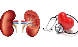 अत्याधिक गर्मीका कारण मिर्गौला तथा मुटु रोगीमा समस्या