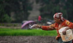 ‘उत्पादन साथमा, अनुदान हातमा’ कार्यक्रमको घोषणा