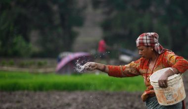 ‘उत्पादन साथमा, अनुदान हातमा’ कार्यक्रमको घोषणा