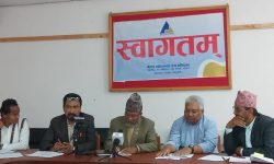 ‘राष्ट्रिय ललितकला प्रदर्शनी’ मा कलाकार, पत्रकार र लेखकलाई सम्मान गरिने