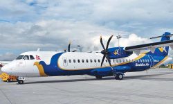 बुद्ध एयरको विमानमा मुसा भेटिपछि उडान स्थगित