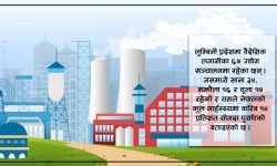 लुम्बिनीमा वैदेशिक लगानीका ६७ उद्योग, जिडिपीमा १४ प्रतिशत योगदान