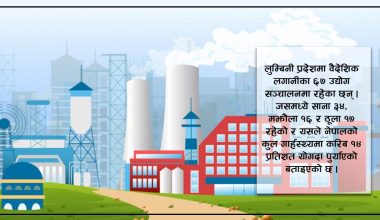 लुम्बिनीमा वैदेशिक लगानीका ६७ उद्योग, जिडिपीमा १४ प्रतिशत योगदान