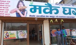 गैँडाकोटमा मकै घर