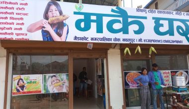 गैँडाकोटमा मकै घर