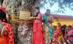 मिथिलामा ‘बर्साइत’ पर्वको चहलपहल