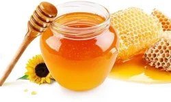 दगाममा उत्पादित मह विदेश निर्यात