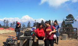 ‘मोहरेडाँडा’मा पर्यटक आकर्षण बढ्दो