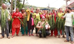 बाँदर नियन्त्रणको माग राख्दै धादिङका किसान आन्दोलित