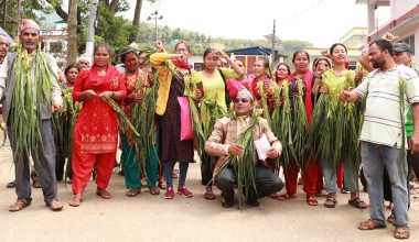 बाँदर नियन्त्रणको माग राख्दै धादिङका किसान आन्दोलित