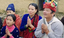 ‘नीरफूल’को टेलर सार्वजनिक   