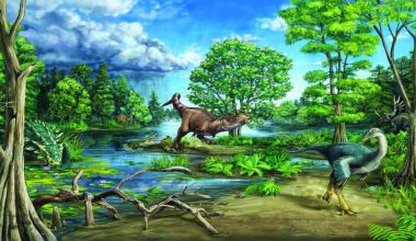 जैविक विविधता र जैविक मार्गमा लगानी बढ्दै