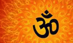 हिन्दुधर्मको गणनामा गरिएका केही कुरा