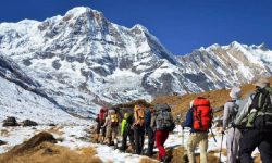 अनलाइनमार्फत नौ हजार पदयात्रीले लिए ‘टिम्स’ कार्ड