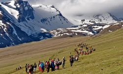 यार्सागुम्बा टिप्न पाटन लागे स्थानीयवासी