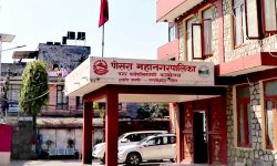 पोखरा महानगरले व्यावसायिक बन्न तालिम दिँदै