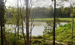 वन्यजन्तुलाई वनमै पानीपोखरी